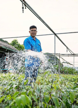 Chăm sóc cây giống