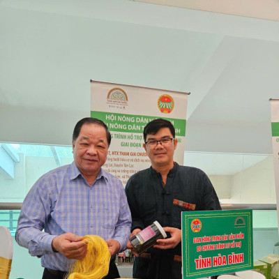 Trà búp ổi