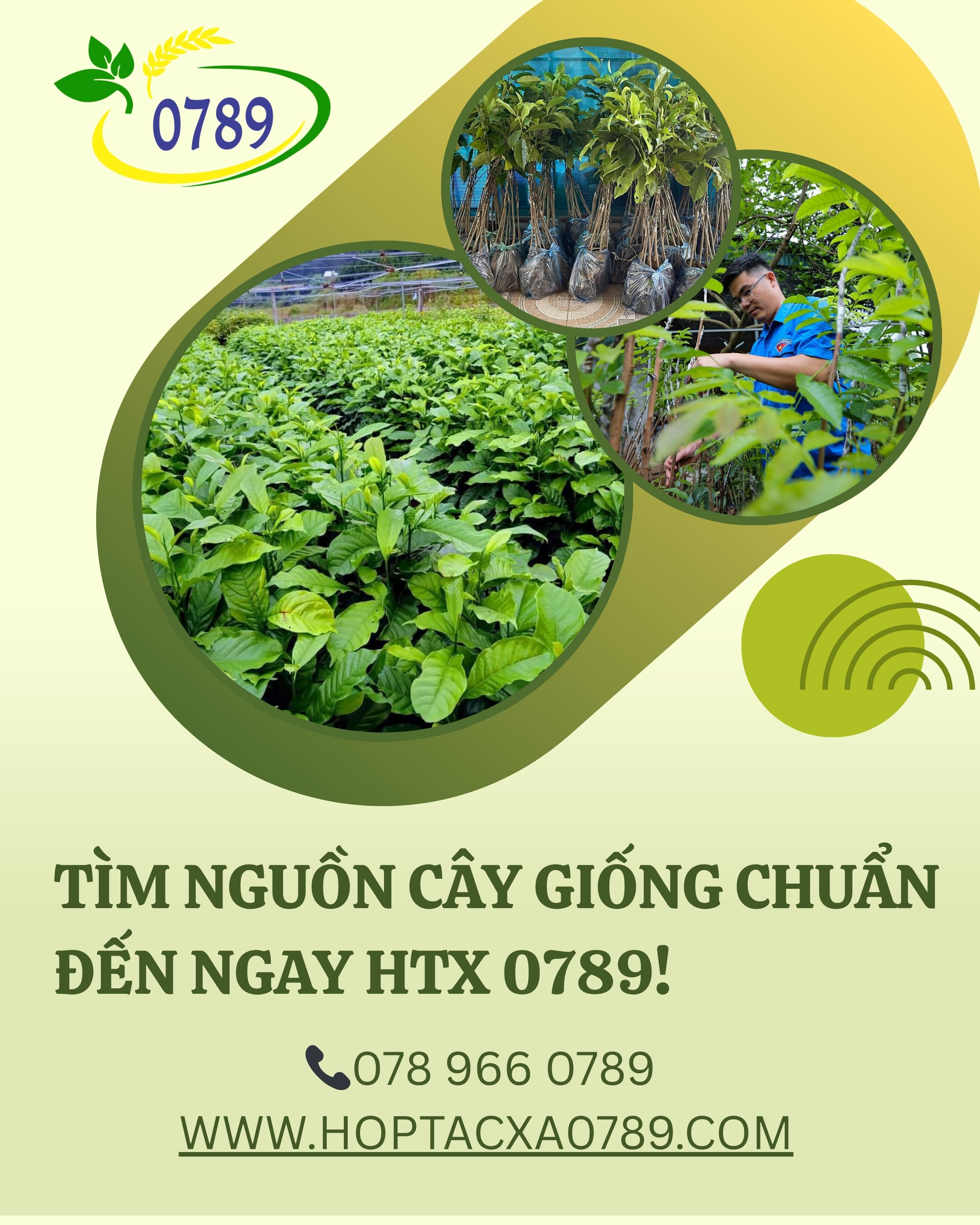 hoptacxa0789
