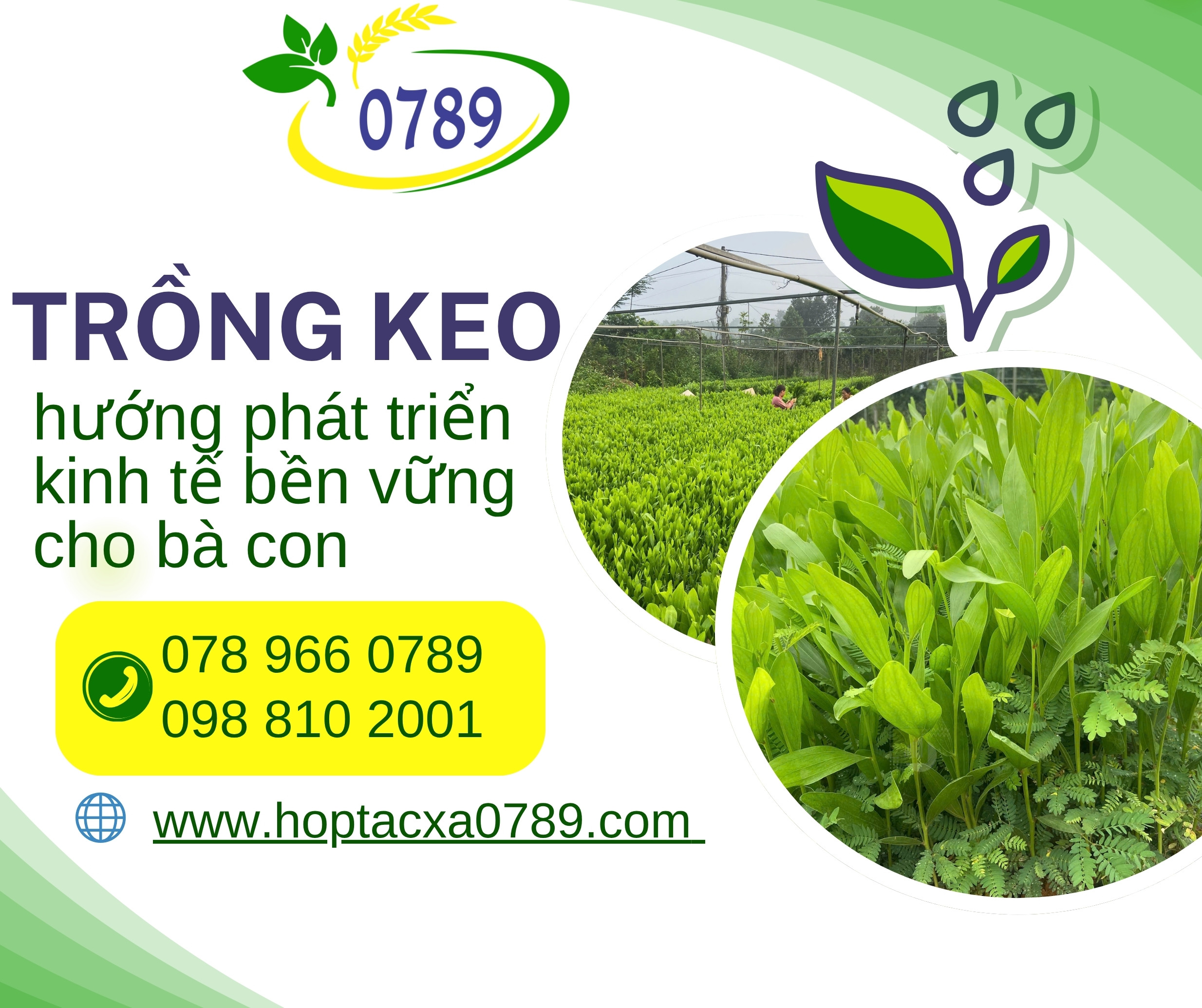 hoptacxa0789